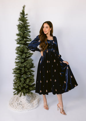 Silent Night Velvet Dress