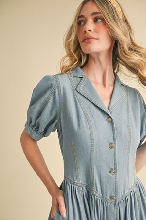 Dolly Denim Dress